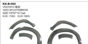 VIGO 2012 EYEBROW