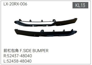 lx 20rx 006.jpg
