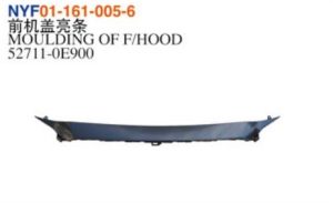 MOULDING OF F/HOOD – Highlander 2020
