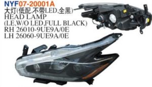 nyf07 20001a.jpg