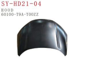 sy hd21 04.jpg