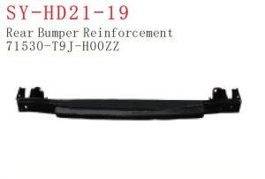 sy hd21 19.jpg