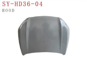 sy hd36 04.jpg