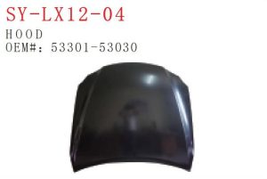 sy lx12 04.jpg