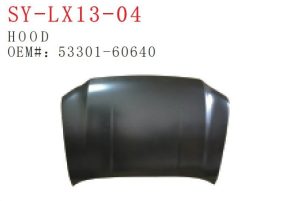 sy lx13 04.jpg