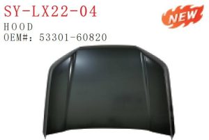 sy lx22 04.jpg