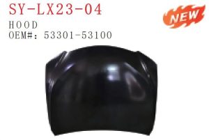 sy lx23 04.jpg