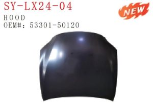 sy lx24 04.jpg