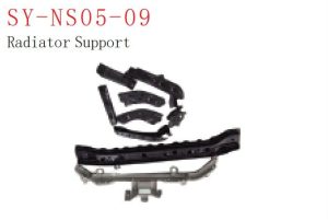 sy ns05 09.jpg