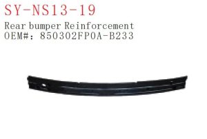 sy ns13 19.jpg