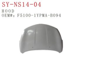 sy ns14 04.jpg