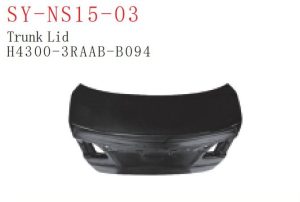 sy ns15 03.jpg