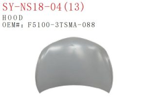 sy ns18 04.jpg