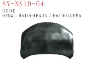 sy ns19 04.jpg