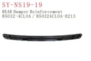 sy ns19 19.jpg