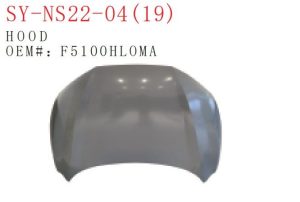 sy ns22 04.jpg