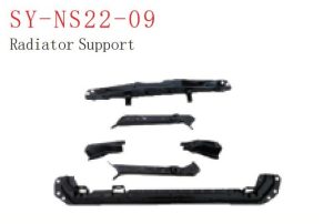 sy ns22 09.jpg