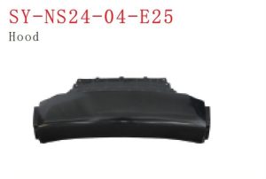 sy ns24 04 e25.jpg