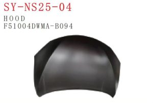 sy ns25 04.jpg