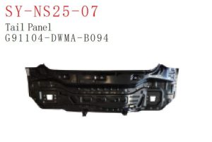 sy ns25 07.jpg