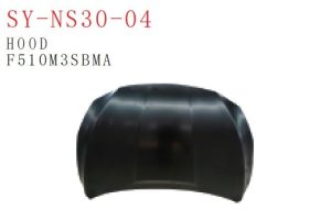 sy ns30 04.jpg