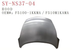 sy ns37 04.jpg