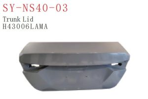 sy ns40 03.jpg