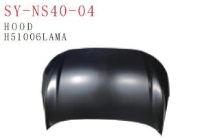 sy ns40 04.jpg