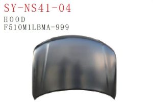 sy ns41 04.jpg