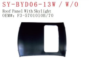 sy ns50 04 al fe.jpg