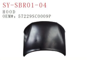 sy sbr01 04.jpg
