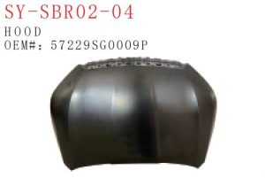 sy sbr02 04.jpg