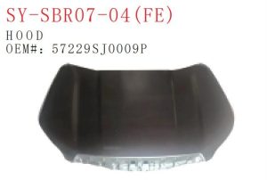 sy sbr07 04 fe.jpg