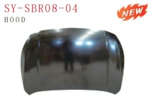 sy sbr08 04.jpg