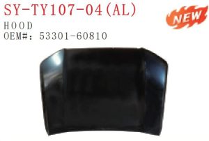 Hood – PRADO 2024