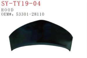 sy ty19 04.jpg