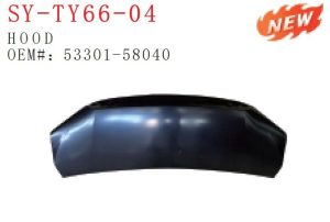 sy ty66 04.jpg