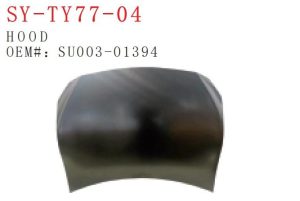 sy ty77 04.jpg