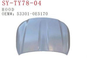 Hood - HIGHLANDER 2021 SY-TY78-04