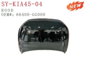 Rear Fender LH/RH - SIENNA 2015 SY-TY82-06LR