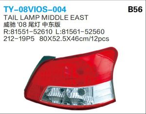ty 08vios 004.jpg