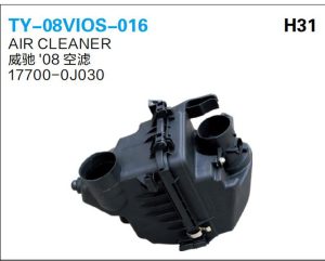 ty 08vios 016.jpg