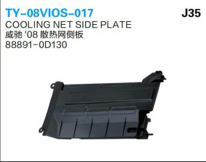 ty 08vios 017.jpg