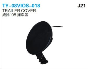 ty 08vios 018.jpg