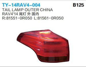 ty 14rav4 004.jpg