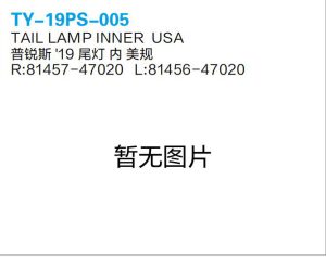 ty 19ps 005.jpg