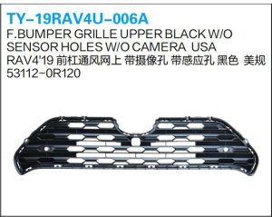ty 19rav4u 006a.jpg
