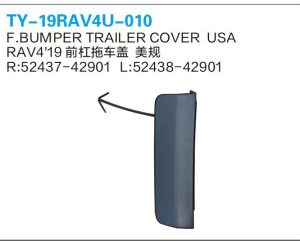 ty 19rav4u 010.jpg