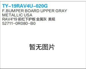 ty 19rav4u 020g.jpg
