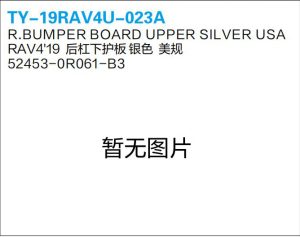 ty 19rav4u 023a.jpg